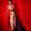 CELESTIAL CHIC - Image 4